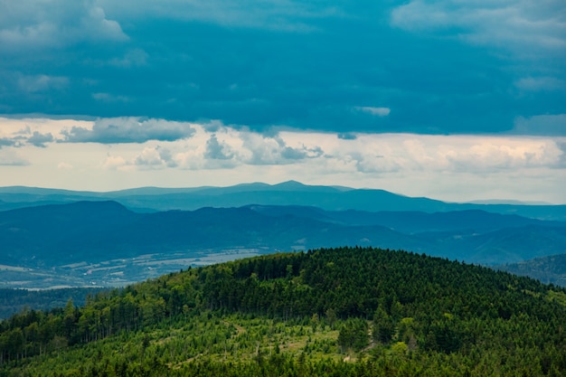 Bosque verde en las montañas de Sudetes, Polonia