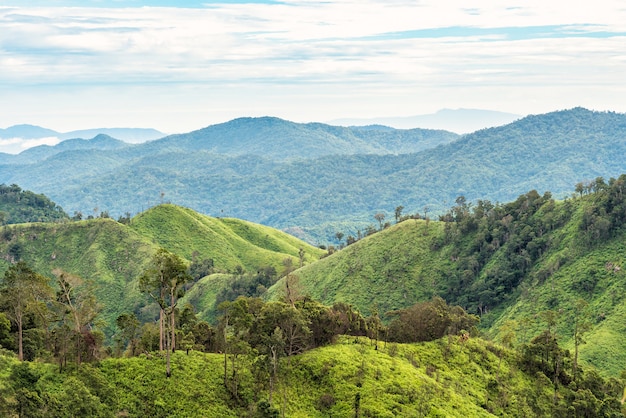 Bosque verde en paisaje de la cordillera con el cielo azul y nublado.