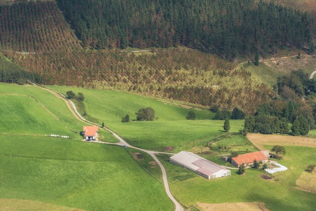 Foto el bosque de vizcaya y el paisaje de la montaña en oiz montan, país vasco, españa.