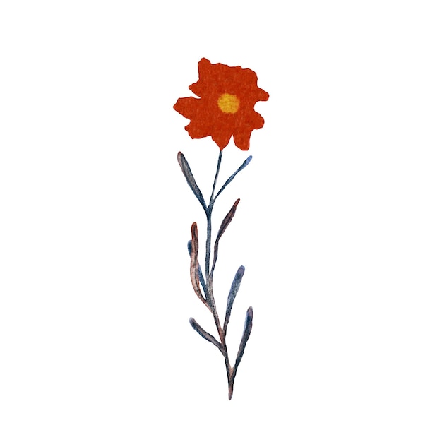 Bosquejo de planta de agua de mar rojo flor de mar. Una acuarela ilustración aislada. Dibujado a mano.