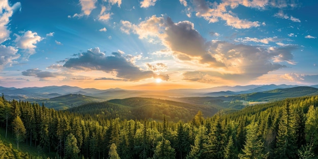 bosques y claros desde la vista de los pájaros primavera verano IA generativa