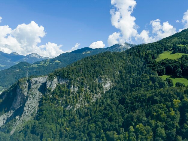 Los bosques de color verde oscuro en los Alpes