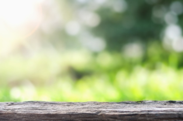 bosques com bokeh verde e fundo do sol