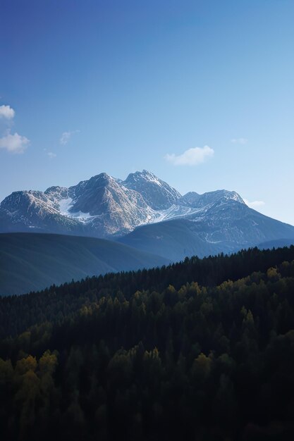 bosques y montañas en los Países Bajos