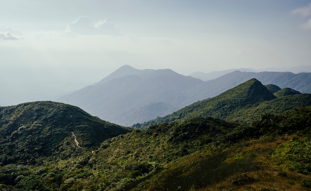 Bosques ricos cielo azul con cordilleras.