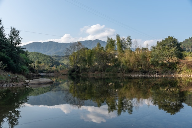 Bosques salvajes y agua corriente en el campo