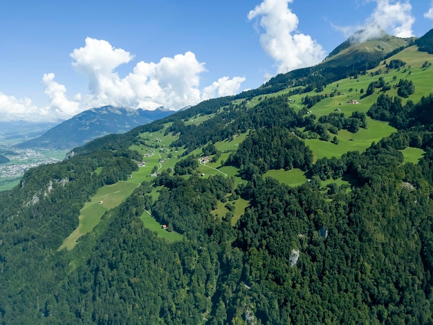 Los bosques siempre verdes y los prados de los Alpes