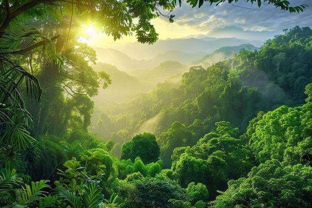 Bosques tropicales y paisajes montañosos en Tailandia para viajar al aire libre