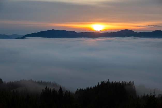 Bosques y valles en las nubes durante el amanecer en las montañas Cárpatos Smotrych