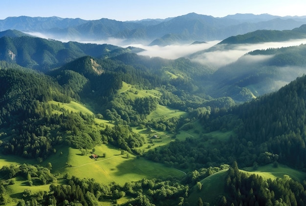 Bosques verdes y prados de árboles fotografiados desde una vista aérea ilustraciones generadas por ai