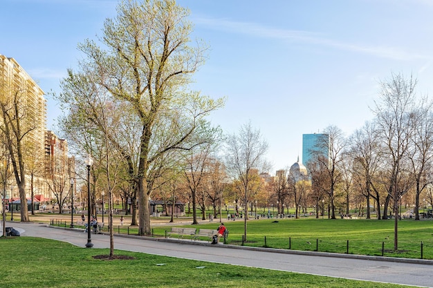 Boston, USA - 29. April 2015: Allgemeiner öffentlicher Park Bostons mit Leuten an im Stadtzentrum gelegenem Boston, MA, Vereinigte Staaten.