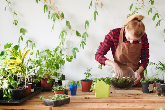 Botánica. Floristería mujer cultiva flores y plantas de interior. Haz un mini terrario