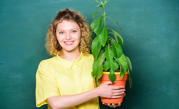 La botánica se trata de plantas, flores y hierbas Fondo de pizarra de mujer llevar planta en maceta Cuidar bien las plantas Lección de botánica y biología Experto en botánica Educación en botánica Concepto de floristería