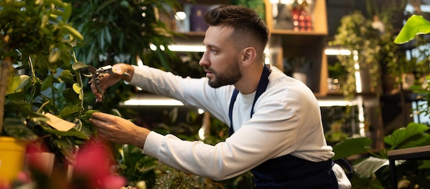 Botánico en centro de jardinería cuidando plantas.