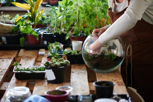 Botanik. Floristin baut Zimmerpflanzen und Blumen an. Mach ein Mini-Terrarium