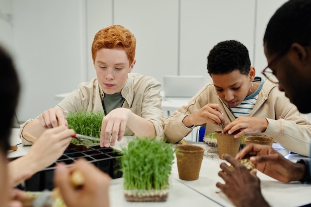 Foto botanikunterricht in der schule