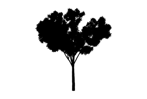 Botanische Baumsilhouette, Kunstwerk, Biologie, Holzform, Design