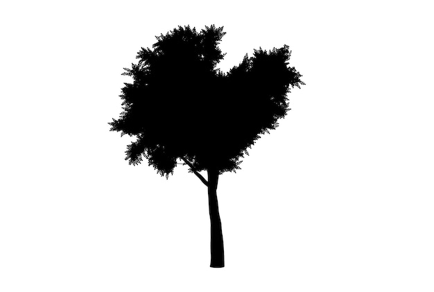 Botanische Baumsilhouette, Kunstwerk, Biologie, Holzform, Design