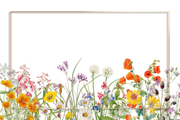 Botanische Blumenillustration mit png-Goldrahmen