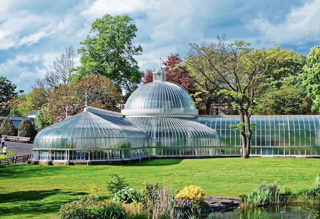 Botanische Gärten von Glasgow. Glasgow ist die Stadt in den Lowlands in Schottland im Vereinigten Königreich.