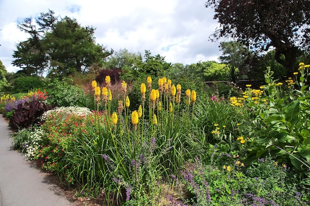 Botanischer Garten in Christchurch, Neuseeland