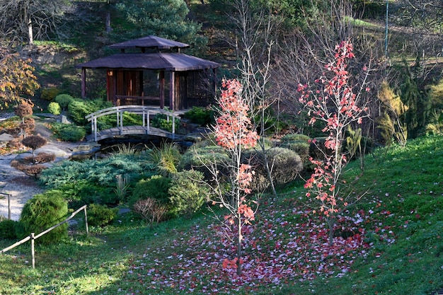 Botanischer Garten in der Stadt Kiew