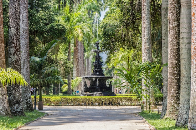 Botanischer Garten Rio de Janeiro