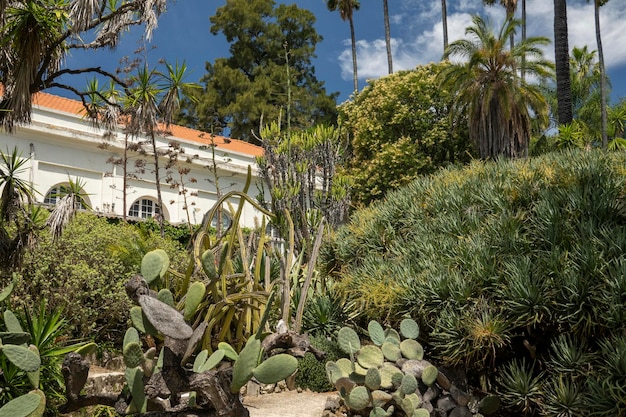 Foto botanischer garten von lissabon