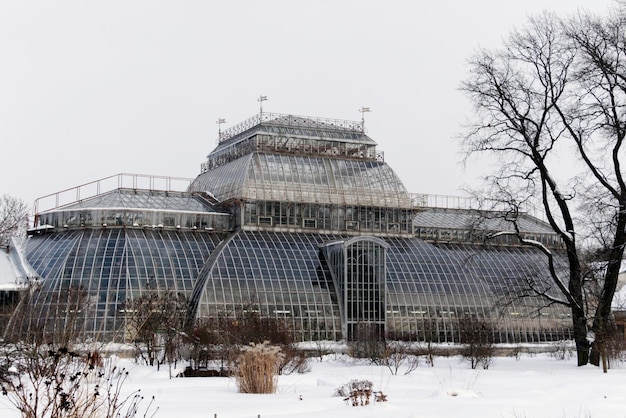 Botanischer Garten von Peter dem Großen RUSSLAND SANKT PETERSBURG