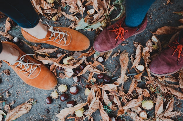 Foto a botas y castañas - otoño divertido