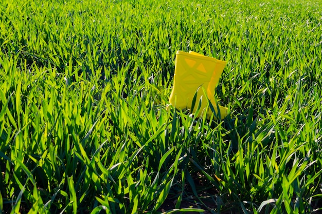 Botas de borracha amarelas na grama verde brilhante em um dia ensolarado