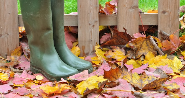 Botas de borracha nas folhas