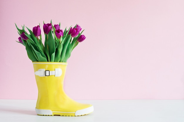 Botas de chuva amarelas e tulipas roxas sobre fundo de parede rosa fundo de primavera copie o espaço