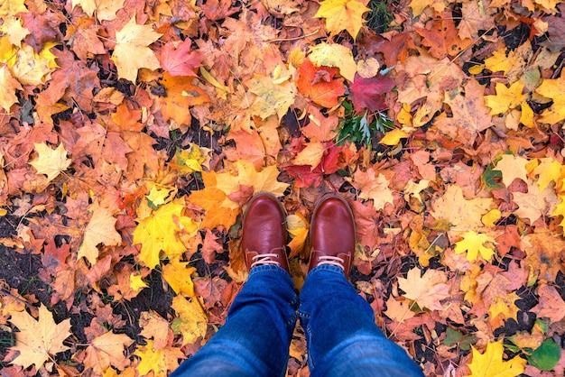 botas de outono deixa estilo moderno de moda de fundo.