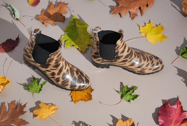 Botas con estampado de leopardo caminan sobre una superficie gris con hojas multicolores Caminata de ideas en el parque y el bosque de otoño