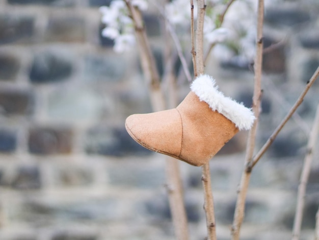 Unas botas de fieltro beige para niños con una solapa de piel blanca cuelgan de una rama de un manzano joven en flor