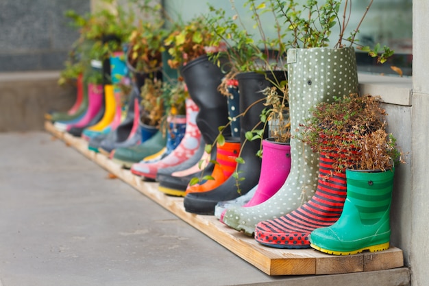 Botas de goma multicolor como macetas con diferentes flores florecientes en la terraza