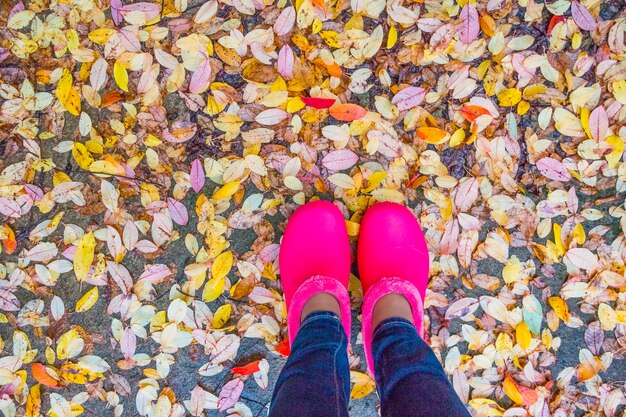 Botas de goma rosa con hojas amarillas caídas