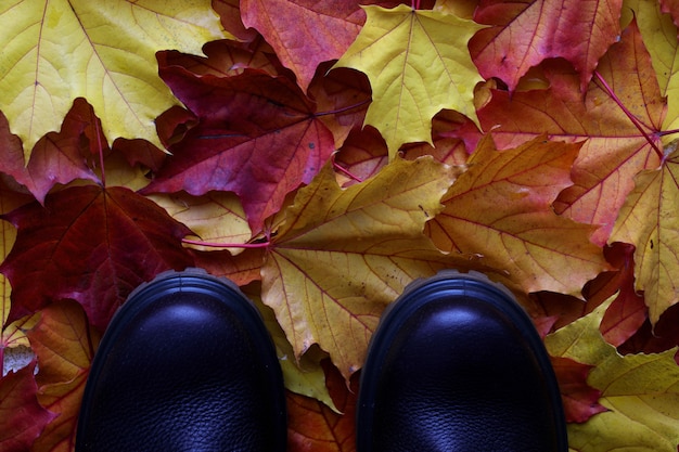Botas marrones en otoño falled rojo amarillo y naranja hojas de fondo de otoño próximo