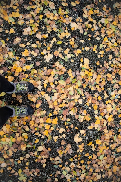 Foto botas de montaña desde arriba con hojas amarillas en el terreno