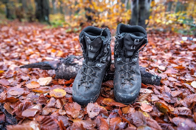 Botas de montaña profesionales en el bosque lluvioso