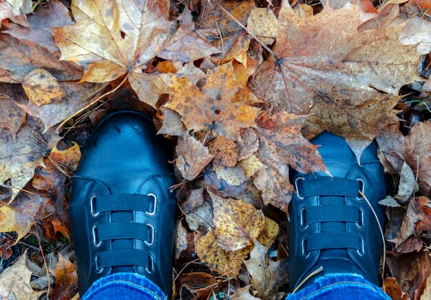 Botas negras en follaje de otoño