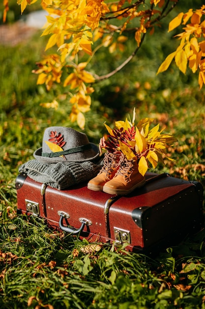 Botas viejas, sombrero de fieltro y bufanda tejida en la maleta vintage marrón en el bosque de otoño