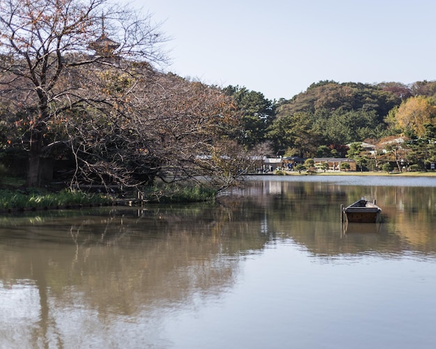 Foto un bote está en el agua cerca de un árbol sin hojas.