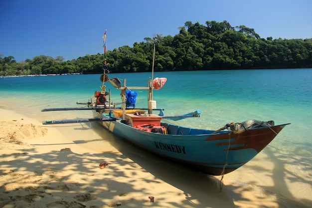 un bote por la playa