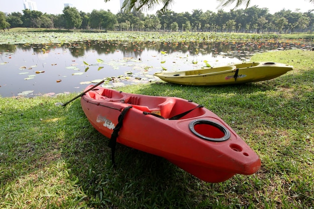 Un bote de remos está amarrado al borde del agua.