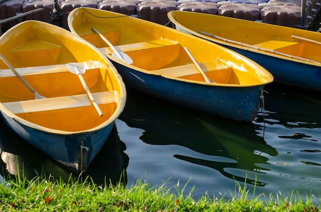 Foto bote de remos flotando en el agua