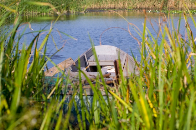 Foto bote en el río