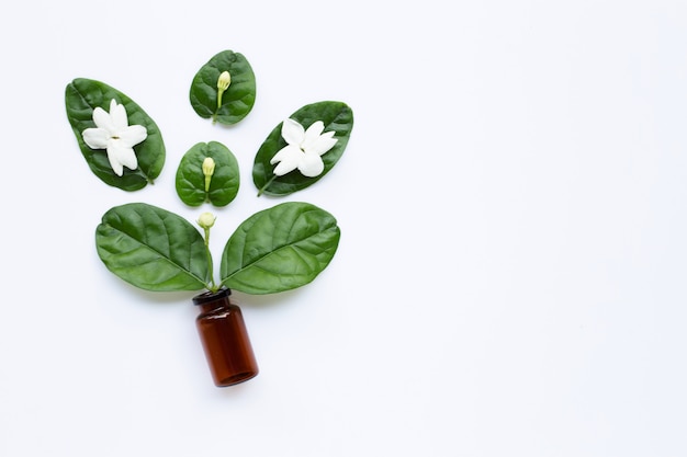 Botella de aceite esencial con la flor y las hojas del jazmín en blanco.