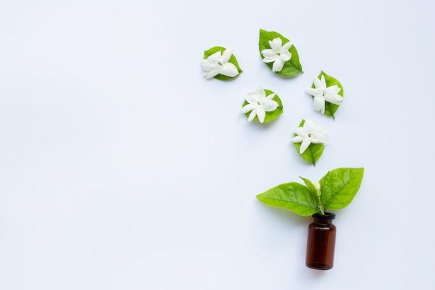 Botella de aceite esencial con la flor y las hojas del jazmín en blanco.